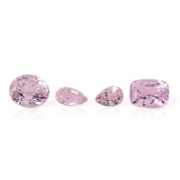  Kunzite 5,031 ct (gemme et boîte de collection)