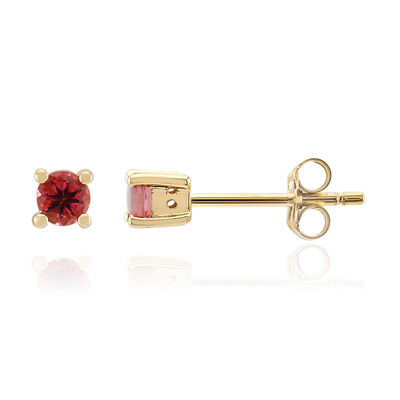 Boucles d'oreilles en or et Rubellite
