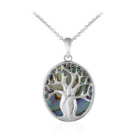 Collier en argent et Coquillage d'Abalone