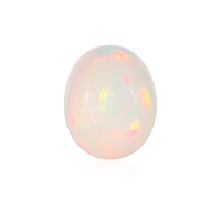  Opale Welo 13,006 ct (gemme et boîte de collection)