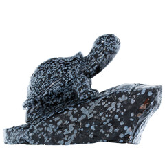 Figurine et Obsidienne Flocon-de-Neige (Lapis Vitalis)