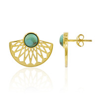 Boucles d'oreilles en argent et Turquoise