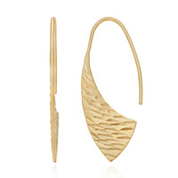 Boucles d'oreilles en or