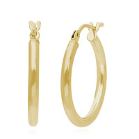 Boucles d'oreilles en or