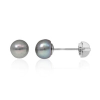 Boucles d'oreilles en argent et Perle de culture d'eau douce