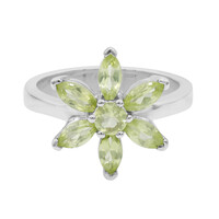 Bague en argent et Péridot