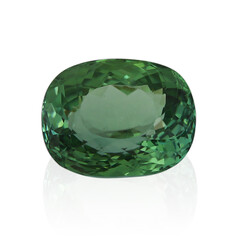  Tourmaline verte (gemme et boîte de collection)