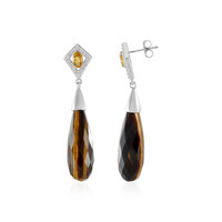Boucles d'oreilles en argent et Œil de Tigre