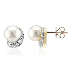 Boucles d'oreilles en or et Perle blanche des mers du sud (Michelle Albala)