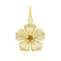 Pendentif en argent et Citrine