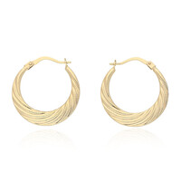 Boucles d'oreilles en or