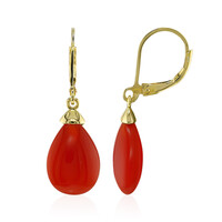Boucles d'oreilles en argent et Agate rouge