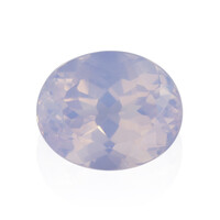  Quartz Fleur de Lys (gemme et boîte de collection)