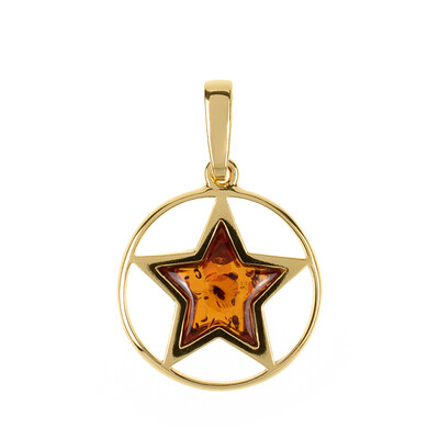Pendentif en argent et Ambre baltique (dagen)