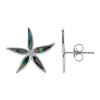 Boucles d'oreilles en argent et Coquillage d'Abalone