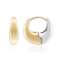 Boucles d'oreilles en argent
