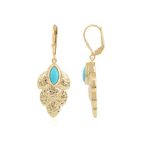 Boucles d'oreilles en argent et Turquoise Sleeping Beauty