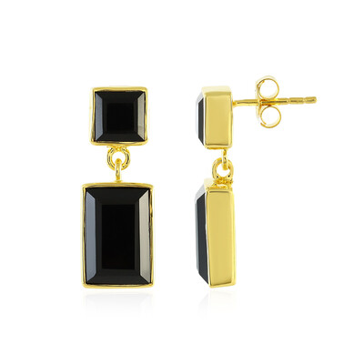 Boucles d'oreilles en argent et Onyx noir