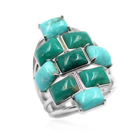 Bague en argent et Turquoise de Campo Frio (Anne Bever)