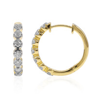 Boucles d'oreilles en or et Diamant IF (D)