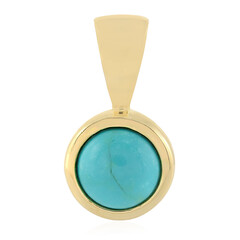 Pendentif en argent et Turquoise