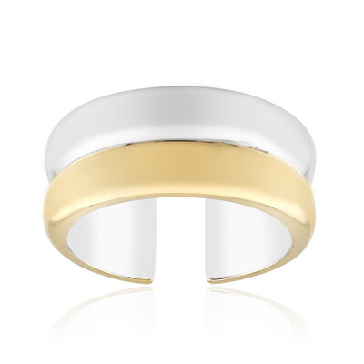 Bague en argent