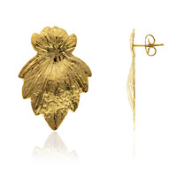 Boucles d'oreilles en argent (Joias do Paraíso)