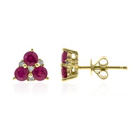 Boucles d'oreilles en or et Rubis AAA du Mozambique (CIRARI)