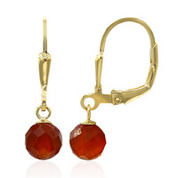 Boucles d'oreilles en argent et Onyx rouge