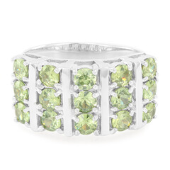 Bague pour homme en or et Grenat Démantoïde