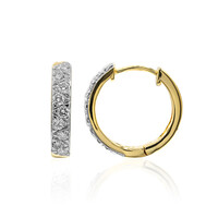 Boucles d'oreilles en or et Diamant IF (D)