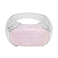 Bague en argent et Jade
