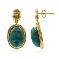Boucles d'oreilles en argent et Turquoise