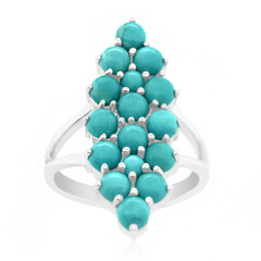 Bague en argent et Turquoise de Campitos (Anne Bever)