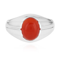 Bague pour homme en argent et Onyx rouge
