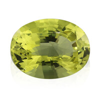  Quartz de l'Ouro Verde 40,7 ct (gemme et boîte de collection)