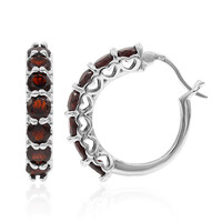 Boucles d'oreilles en argent et Grenat