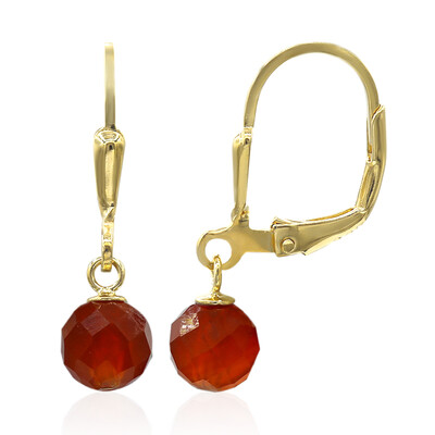 Boucles d'oreilles en argent et Onyx rouge