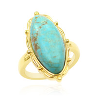Bague en argent et Turquoise de la Mine 8 (Anne Bever)