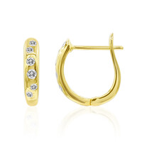 Boucles d'oreilles en or et Diamant IF (D)
