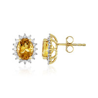 Boucles d'oreilles en argent et Citrine