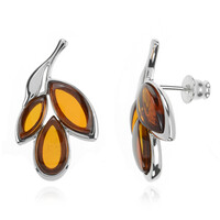 Boucles d'oreilles en argent et Ambre baltique