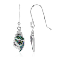 Boucles d'oreilles en argent et Coquillage d'Abalone