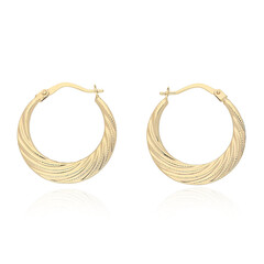 Boucles d'oreilles en or