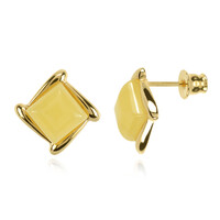 Boucles d'oreilles en argent et Ambre baltique