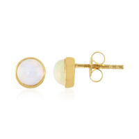 Boucles d'oreilles en argent et Opale Welo