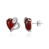 Boucles d'oreilles en argent et Agate rouge