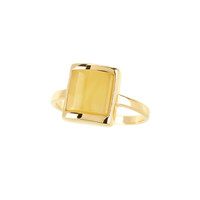 Bague en argent et Ambre baltique