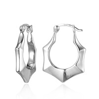 Boucles d'oreilles en argent