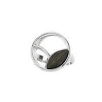 Bague en argent et Chêne des marais